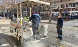 Kastamonu'da yaya geçitleri SİL BAŞTAN!