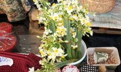 Kışın habercisi Nergis, İnebolu pazarını renklendirdi