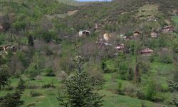 Kastamonu'daki kızamık bereketi TRT Belgesel’e taşındı