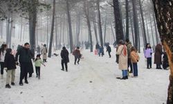 Komşu'daki festival vatandaşların akınına uğradı