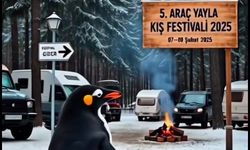 Kastamonu'nun ilçe belediyesinden 'nihilist penguen'li davet