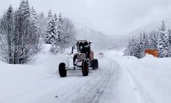 Cide’de Karayolları ekipleri 7/24 karla mücadelede