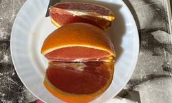 Kastamonu’da Görenleri Şaşırtan Meyve: Portakalın İçinden Çıkan Renk Merak Uyandırdı