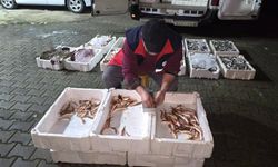 Kastamonu’da denetim 1,5 tonu ortaya çıkardı