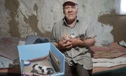 Kastamonulu 'kedilerin babası' öldü, 36 can yetim kaldı