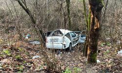 Cide'de otomobil şarampole yuvarlandı: 3 yaralı