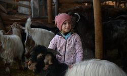 Alpler’in Heidi’si değil Devrekani’nin Ceyda’sı…