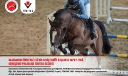 Kastamonu'da atların verileri yapay zeka ile izlenecek