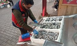 Çatalzeytin’de su ürünlerine sıkı denetim sürüyor