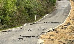 SON DAKİKA: Heyelan Cide İnebolu yolunu ulaşıma kapattı!