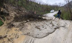 Cide’de peş peşe heyelanlar yaşanıyor