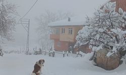 Cide’nin köylerinde kar 70 santimi aştı