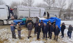 Çiftçiye 43 ton yulaf tohumu dağıtıldı