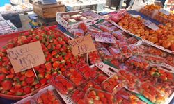 Kastamonu'da 3 Paketi 100 Lira!