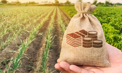 Tarım ve esnaf kredilerinde yeni dönem