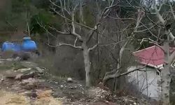 Cideli muhtar uyardı, evler de tehlikede!