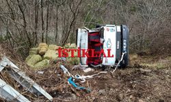 Cide’de saman yüklü kamyon devrildi: 2 yaralı