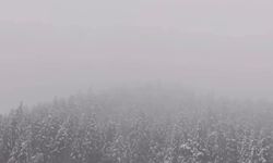 Kastamonu - Çankırı sınırındaki Ilgaz Dağı'na kar yağdı