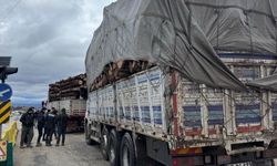 İstanbul-Kastamonu yolunda orman kontrolü