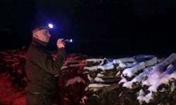 Kastamonu ormanlarında usulsüzlüğe rastlanmadı