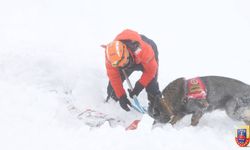 Kastamonu'da Jandarma ve AFAD'dan çığ tatbikatı