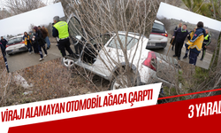 Kastamonu'da virajı alamayan otomobil ağaca çarptı: 3 yaralı