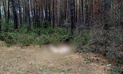 Pes dedirten görüntü Kastamonu’dan! Ölülerini dağa attılar