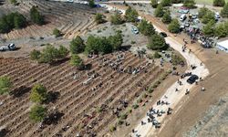 2026'da 210 bin fidan Kastamonu’da toprakla buluşacak