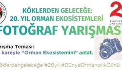 Kastamonu’da orman için objektifler devrede