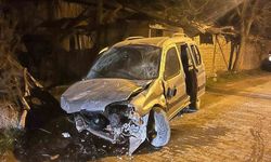 Hayvandan kaçarken taşa çarptı: 1 yaralı