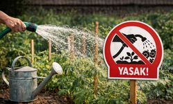 Daday'da içme suyuyla bahçe sulamak yasaklandı