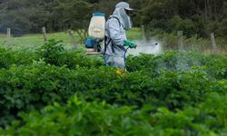Kastamonu’da üreticilere belge fırsatı