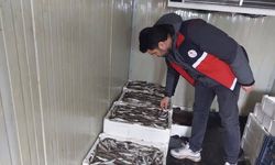 Çatalzeytin’de su ürünleri denetimleri sürüyor