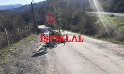 Cide’de köylülerden çöken yola ilginç önlem