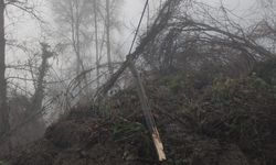 Cide’de bir grup yolu daha heyelan nedeniyle kapandı