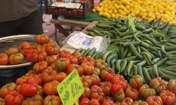 Domates ve biber rekora koşuyor