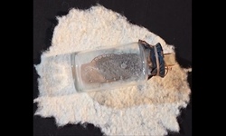 Kutsal emanetler yarın Kastamonu’da ziyarete açılıyor