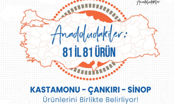 Kastamonu, Çankırı ve Sinop’un simge ürünü belirlenecek