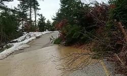 Kastamonu'da o yolda yaşanan heyelan trafiği tıkadı