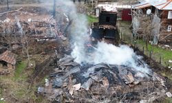 Sobadan çıkan yangın iki ev ve bir ambarı kül etti