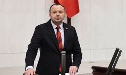 Kastamonulu Bakan’a orman köylüsü için çağrıda bulundu