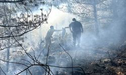 Kastamonu'da orman yangını: 300 metrekare alan zarar gördü!