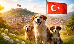 Resmi Gazete'de yayımlandı: Kastamonu'ya birlik kurulacak!