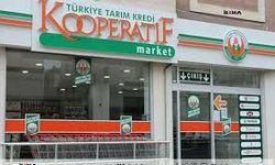 Kastamonu Tarım Kredi Kooperatifi genel kurula gidiyor