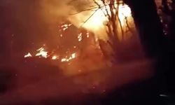 Kastamonu’da anız yangını korkuttu
