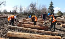 Kastamonu’da ormancılar kıyasıya yarıştı