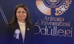 Kastamonulu akademisyene bilim ödülü