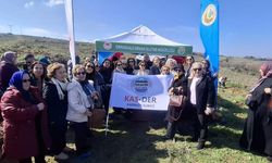 Kastamonulular Çanakkale'de fidan dikti