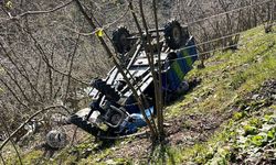 Köpekler yola çıktı, "patpat" şarampole devrildi!
