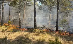 Kastamonu’da çıkan yangınlar büyümeden söndürüldü